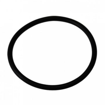 O-ring f/anode 11/4