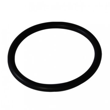 O-ring f/anode 2